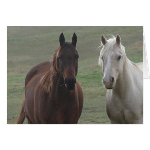 Cheval