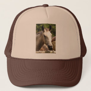 Cheval 4, Casquette