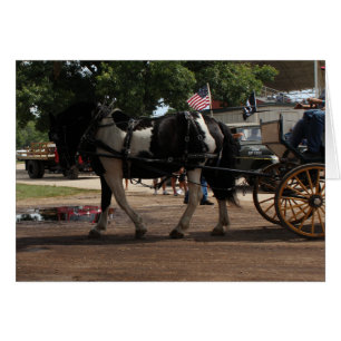 Cheval à bascule Pinto