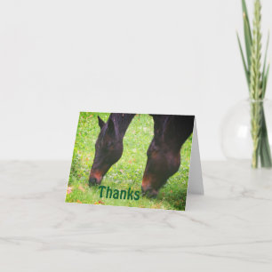 Cheval Amis Carte de remerciements de pâturage