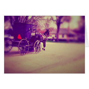 Cheval Amish et Buggy