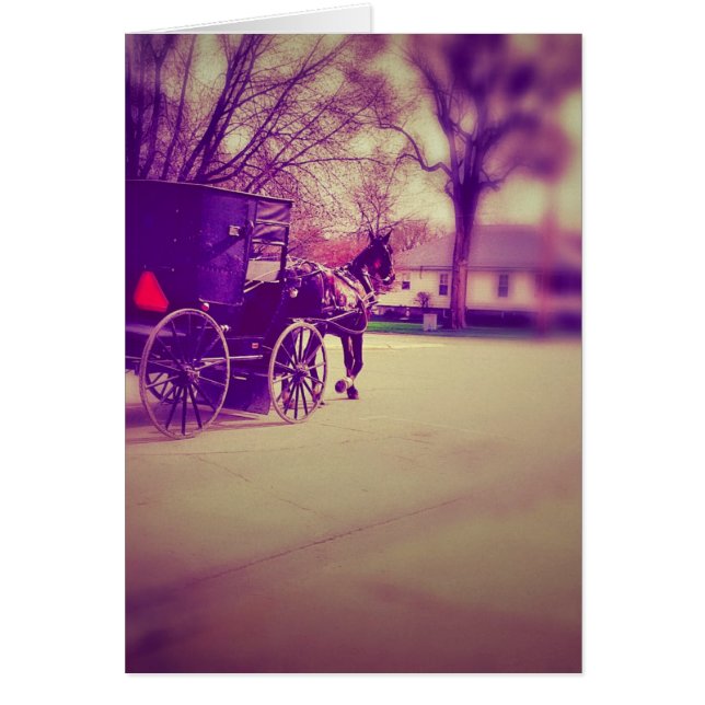 Cheval Amish et Buggy (Devant)