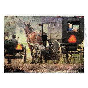 Cheval Amish et Buggy