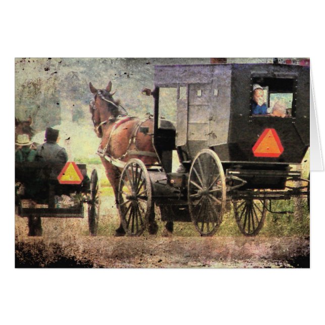 Cheval Amish et Buggy (Devant horizontal)
