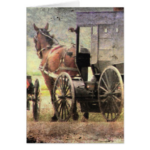 Cheval Amish et Buggy