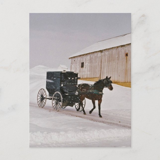 Cheval Amish et Buggy sur la route hivernale Carte (Devant)