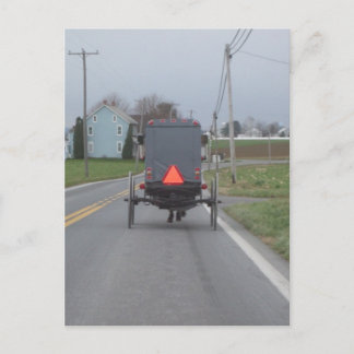 Cheval amish et carte postale avec des erreurs