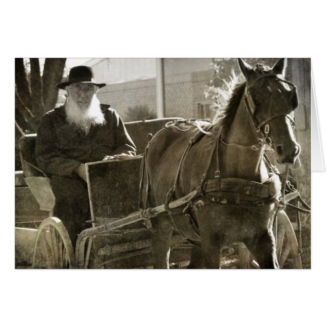 Cheval Amish Était Silencieux Avec La Langue Coinc (Devant horizontal)