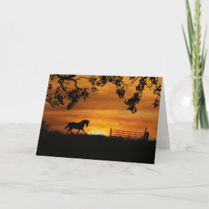 Cheval amusant à thème Bonne carte d'anniversaire