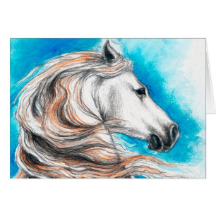 Cheval andalou d'étalon