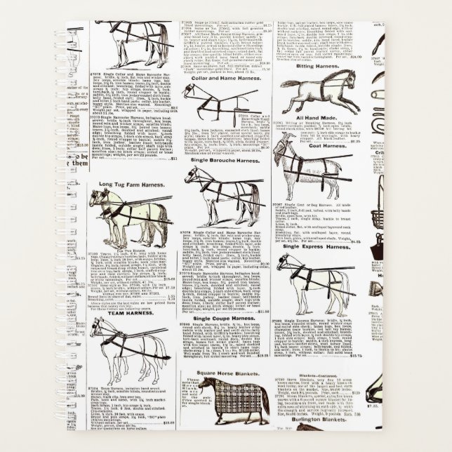 Cheval Antique Publicité Journal Art (Devant)