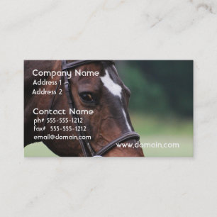 Cheval arabe avec le blanc sur le carte de visite