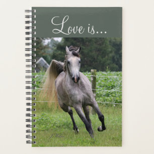 Cheval arabe planificateur hebdomadaire et mensuel