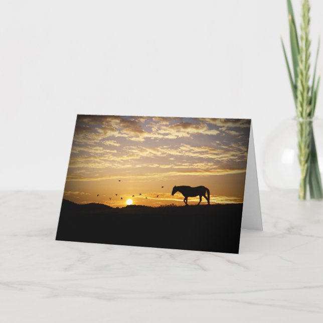 Cheval au coucher du soleil carte de sympathie (Devant)
