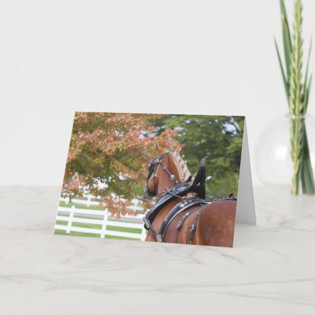 Cheval belge en harnais carte de voeux (Devant)