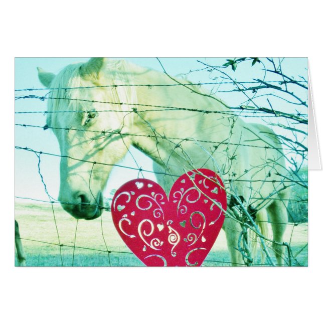 Cheval Blanc Coeur Rouge Saint Valentin (Devant horizontal)