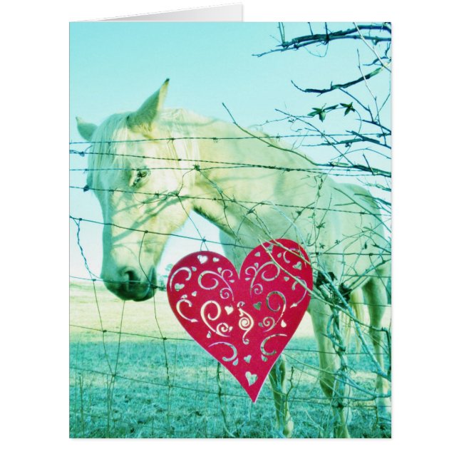 Cheval Blanc Coeur Rouge Saint Valentin (Devant)