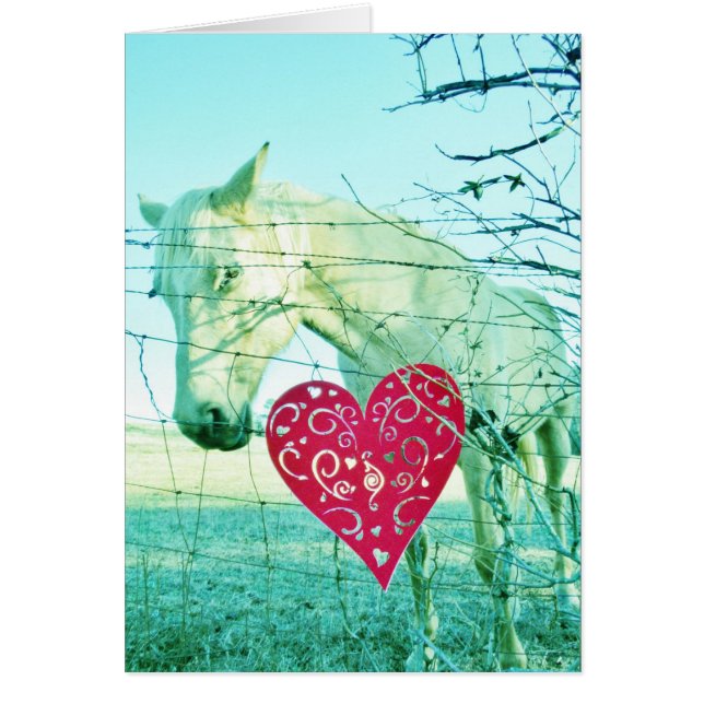 Cheval Blanc Coeur Rouge Saint Valentin (Devant)