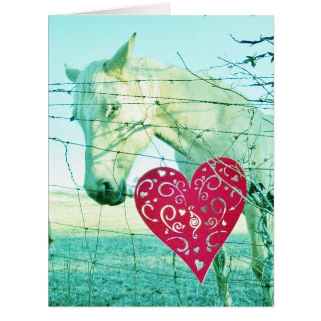 Cheval Blanc Coeur Rouge Saint Valentin (Devant)