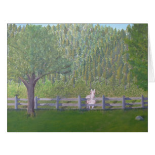 Cheval blanc dans le domaine