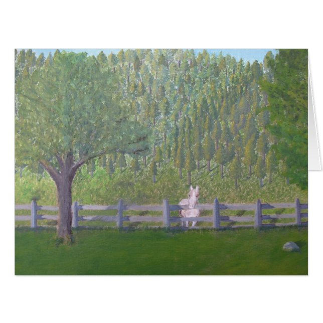 Cheval blanc dans le domaine (Devant horizontal)