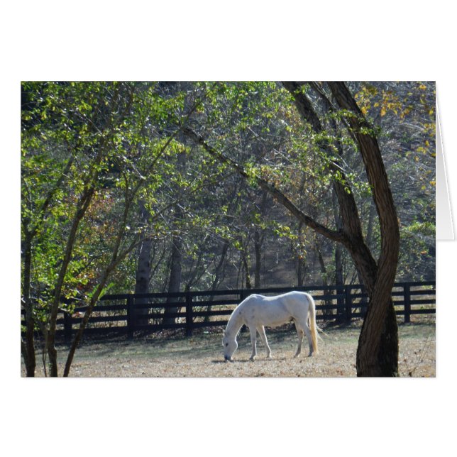 Cheval blanc dans les arbres (Devant horizontal)