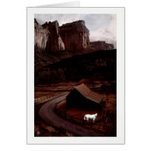 Cheval blanc dans un canyon peint