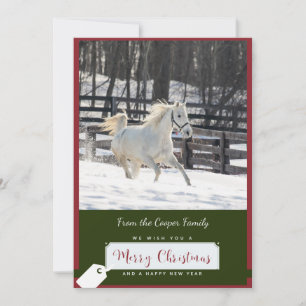 Cheval blanc en carte de Noël neige