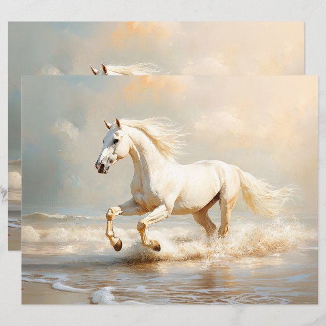 Cheval blanc en marche sur le papier à scandale de (Devant / Derrière)