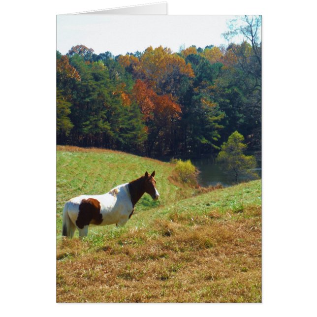 Cheval blanc et Brown, étang d'automne (Devant)
