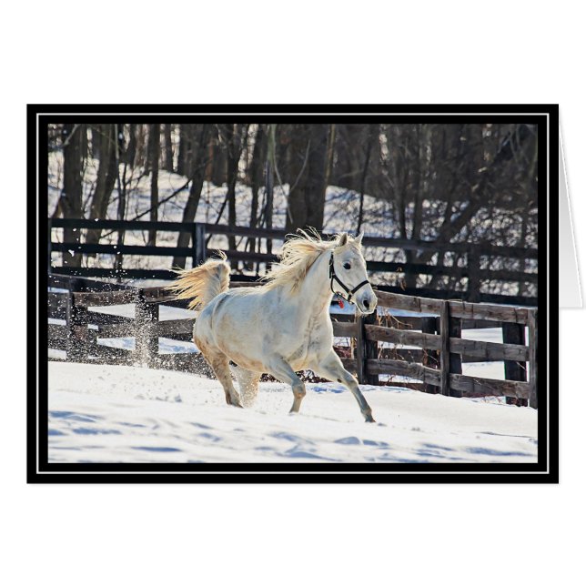 Cheval blanc galopant (Devant horizontal)