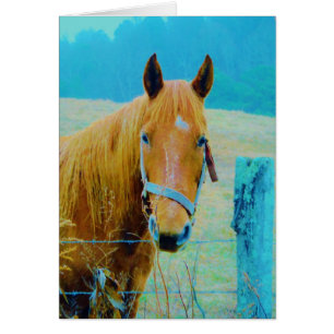 Cheval bleu Denim teinté