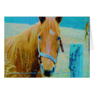 Cheval bleu Denim teinté