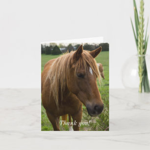 Cheval Bonjour Carte de remerciements