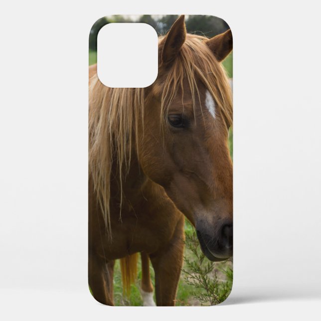 Cheval Bonjour coque iphone (Verso)