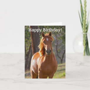 Cheval Bonne Carte d'Anniversaire pour les amateur