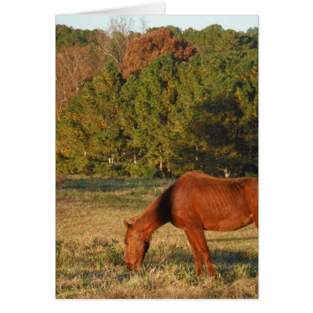 Cheval Brown aux pins (Devant)