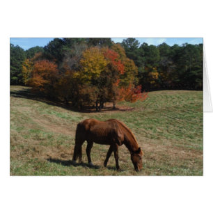 Cheval Brown avec arbres à automne