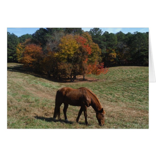 Cheval Brown avec arbres à automne (Devant horizontal)