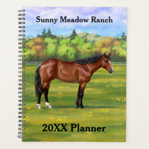 Cheval Brown Bay Quarter