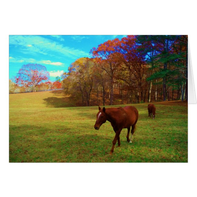 Cheval Brown dans un champ de couleur arc-en-ciel (Devant horizontal)