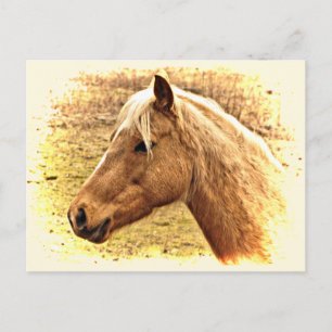 Cheval Brown d'or en carte postale d'animal solair