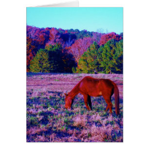 Cheval Brown en Grass violet