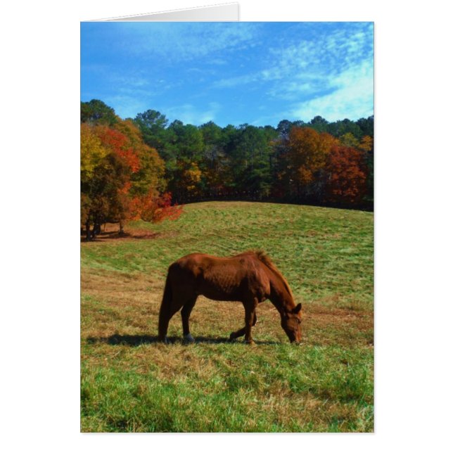 Cheval Brown rouge, arbres de chute, ciel bleu (Devant)