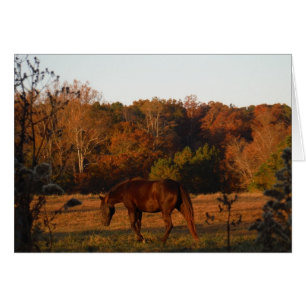 Cheval Brown rouge, bois d'automne.