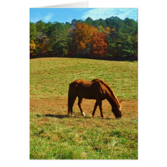 Cheval Brown rouge dans les arbres d'automne (Devant)