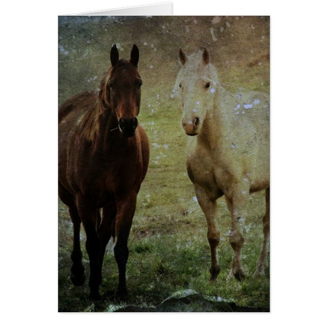 Cheval Buddies Grunge (Devant)