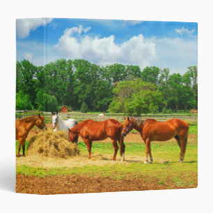 Cheval Classeur de la nature