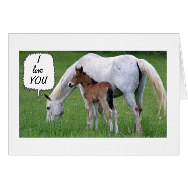CHEVAL/COLT AIDE DÉCLARE L'AMOUR À NOËL (Devant horizontal)