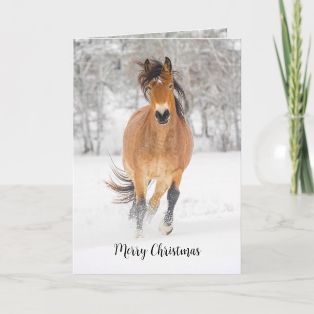 Cheval courir en neige Carte de vacances pliée (Devant)